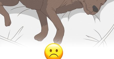 599946864 122208006002320437 8197859657528437798 n