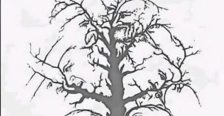 608446690 1300581278773111 1422230570194188296 n