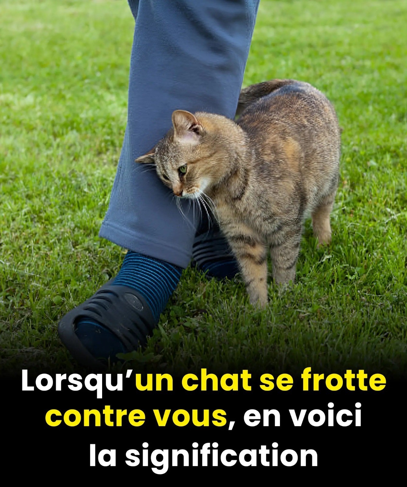 633365550 122108926353225827 5581198439955329965 n