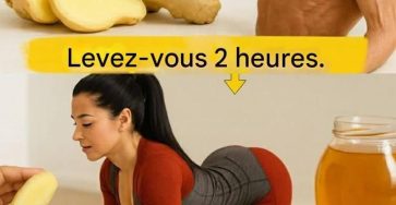 641267890 122117261877194396 5453226018897800623 n