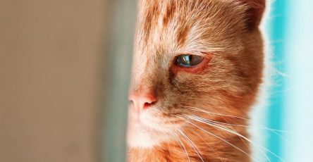 644318206 1357809393067400 8658503662362860853 n