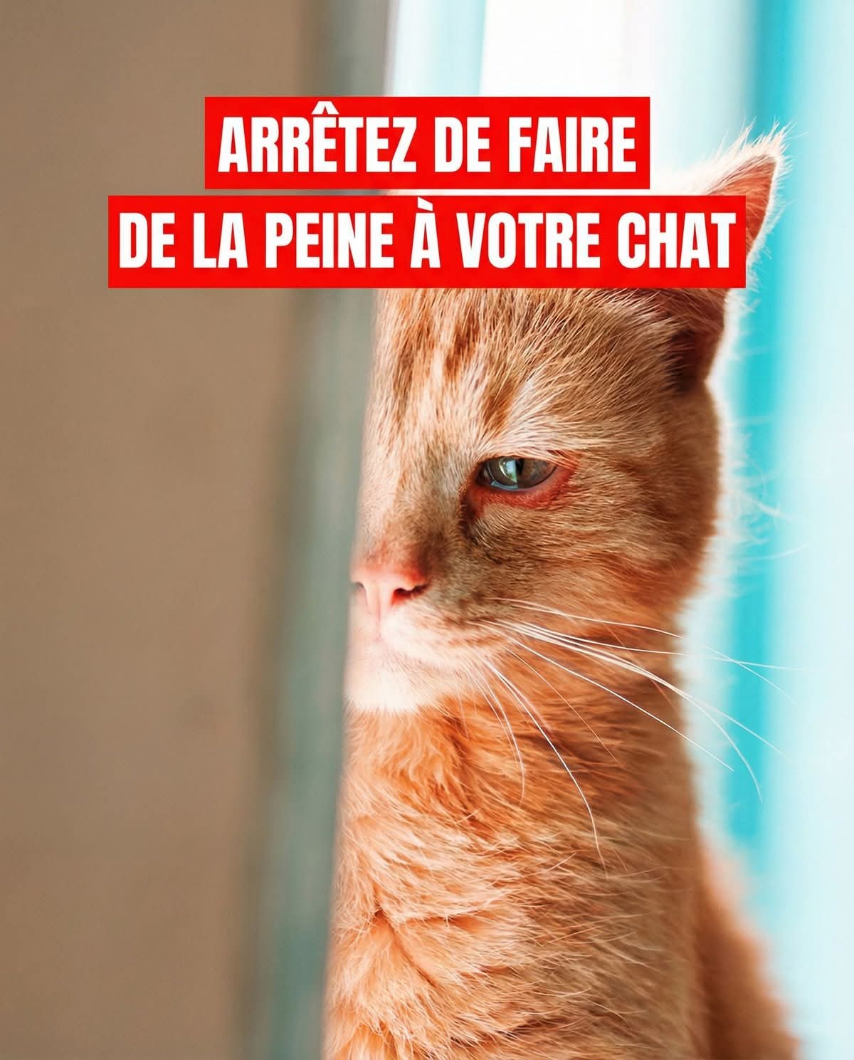 644318206 1357809393067400 8658503662362860853 n