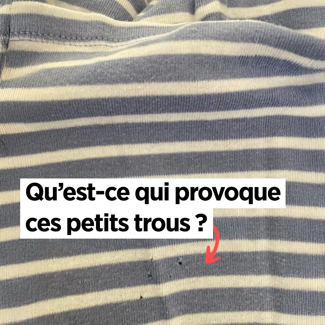 La veritable cause de ces mysterieux petits trous dans vos vetements 1.jpg