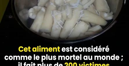 Laliment le plus mortel au monde tue plus de 200 personnes par an mais des millions de personnes continuent den consommer.jpg