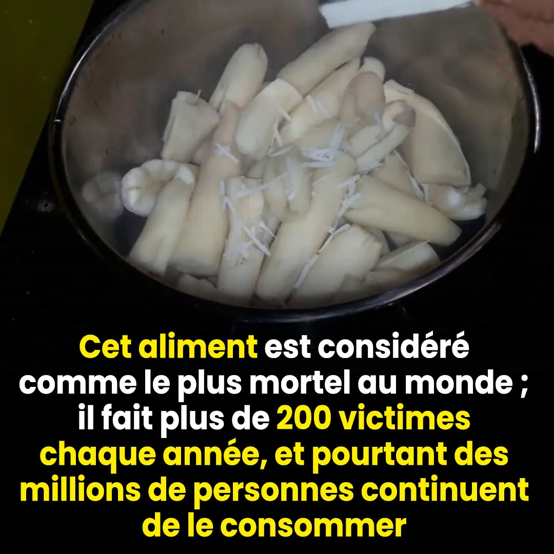 Laliment le plus mortel au monde tue plus de 200 personnes par an mais des millions de personnes continuent den consommer.jpg