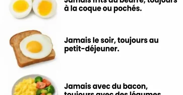 Vous vous y prenez mal voici la bonne facon de manger des oeufs.jpg
