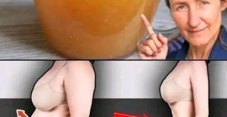 0930fd8e f72e 4d29 aac6 9db4b5fbcaa2