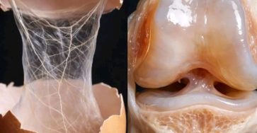 1773019324671 1 768x768