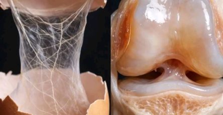 1773019324671 1 768x768