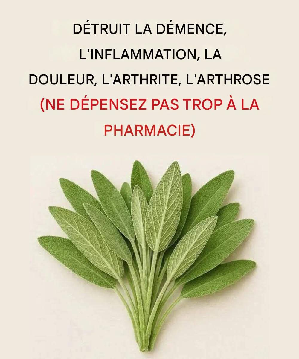 488c492d 1fa9 4421 b7d5 c8a3842637c1