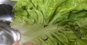 497897143 122162219678461687 9075455682509887876 n