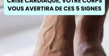 536302317 122296431650007020 3145225333862988807 n