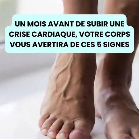 536302317 122296431650007020 3145225333862988807 n