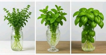 57a12891 168c 480b b6b9 7f9b83c00918