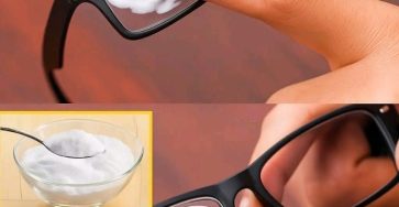 635180130 1609567053718527 4550702409807576763 n