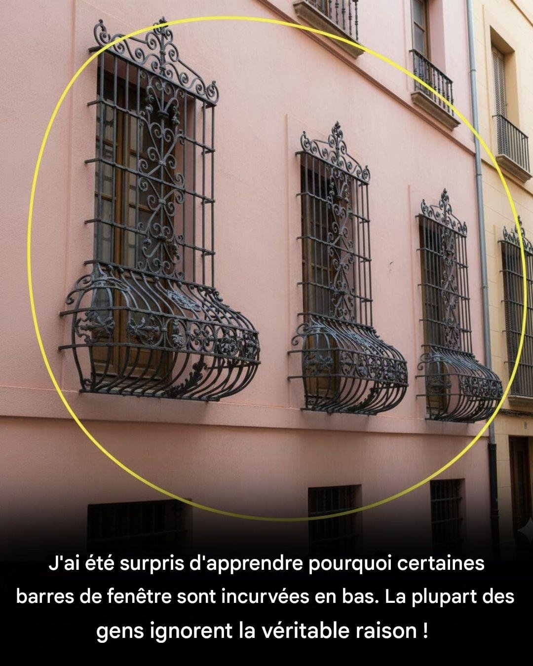 646679949 944696044578980 7537225500285269825 n