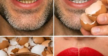 648054904 122116558377205982 8167817612644864656 n