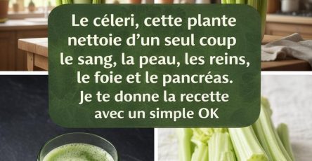 648828521 122115664617198781 3741255273358857539 n