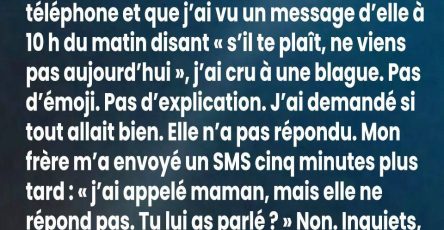 649264097 1481403096834591 8767386191008455115 n