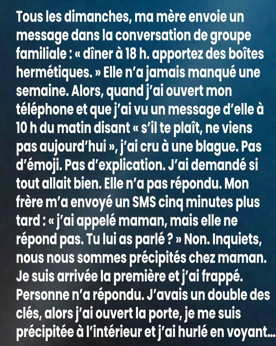 649264097 1481403096834591 8767386191008455115 n