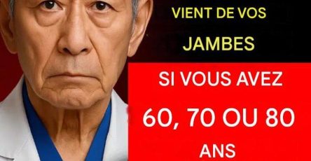 651304823 951211454000847 2176325094471602602 n