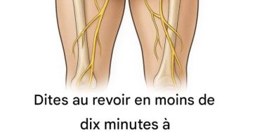 651409898 951195040669155 2015761906974844573 n