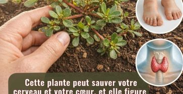 651431352 122115856461205411 1918470115138455653 n