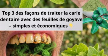 652188170 1532487652215456 6258548797102957289 n