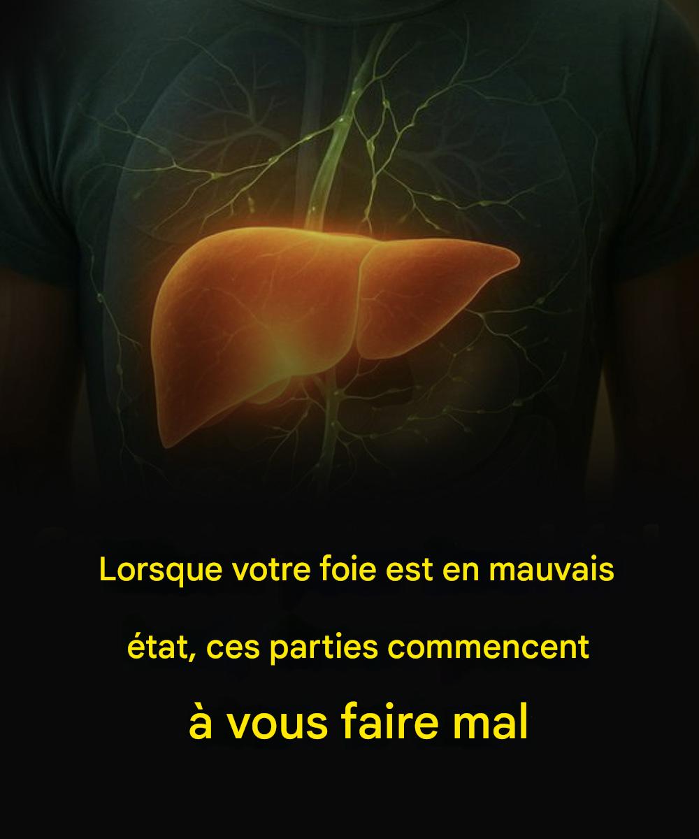 652278455 951218347333491 3402429243038497030 n