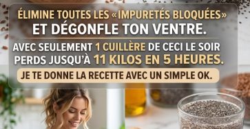 652472940 122116820145205411 5716088410691900014 n