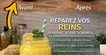 653702949 1486906129617621 2598733090371170729 n