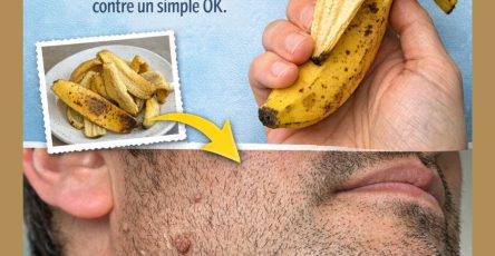 653875488 122121283347166828 4966728194265670181 n