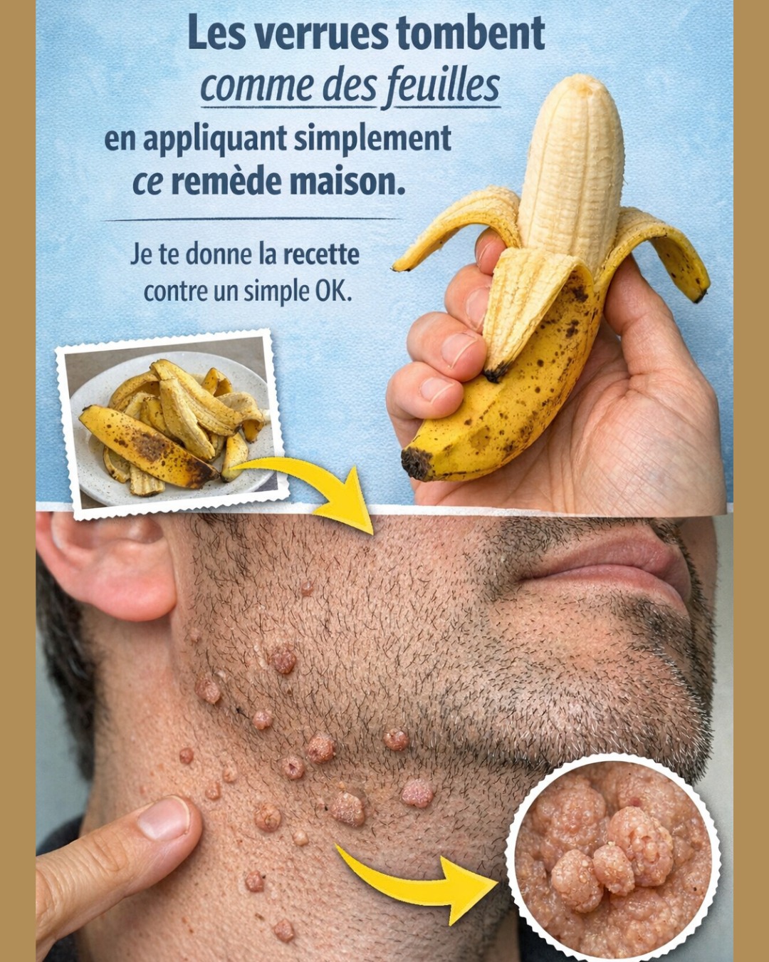 653875488 122121283347166828 4966728194265670181 n