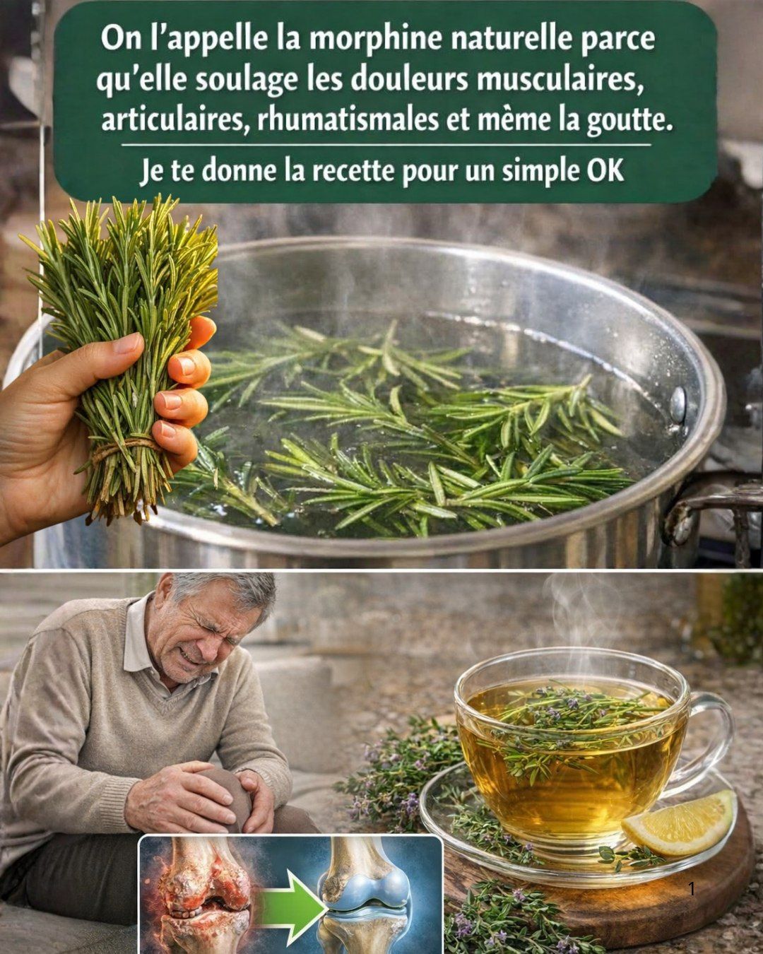 656617899 2751651038527810 1599602558889049999 n