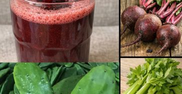 657190788 2718186975203495 4821287185279375077 n