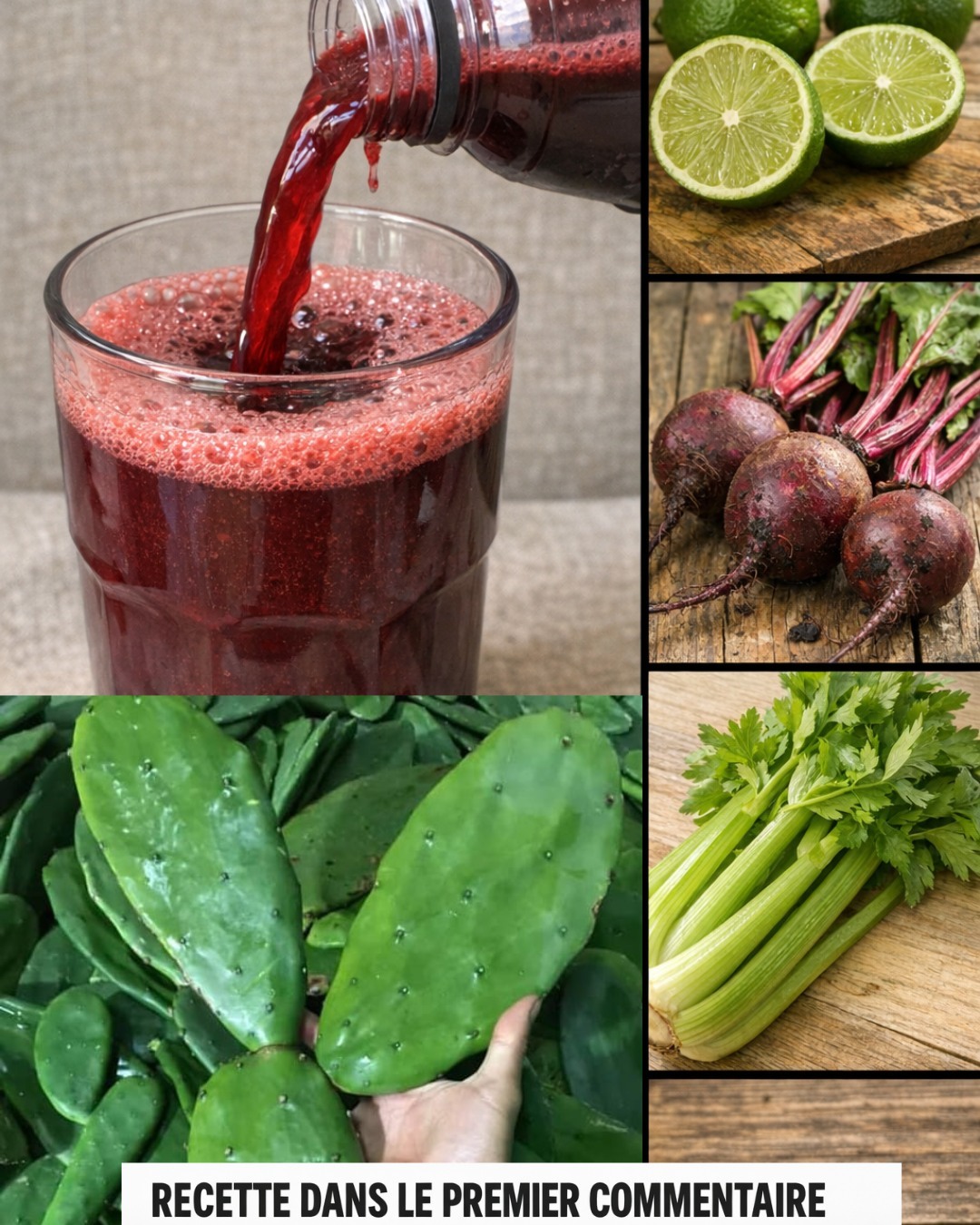 657190788 2718186975203495 4821287185279375077 n