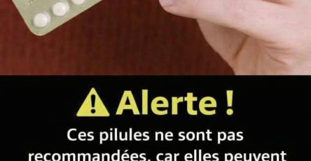 657788882 1490714679236766 4438749738296348978 n