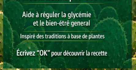 657788990 1536505018480386 3031428483921837216 n