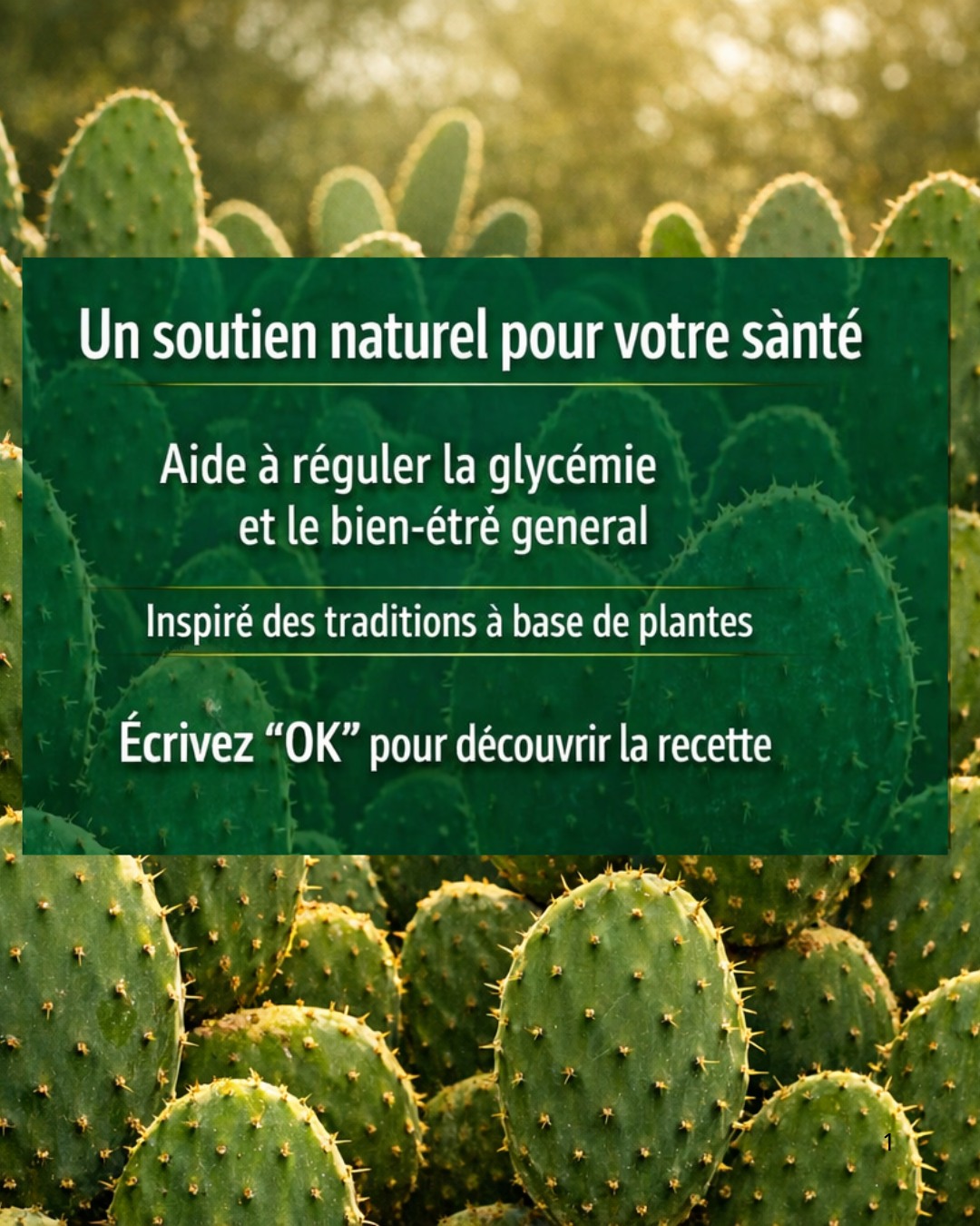 657788990 1536505018480386 3031428483921837216 n