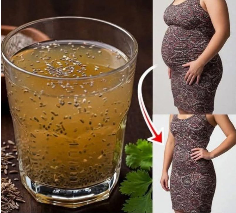 XX470048331 122146694642477614 9126419413019102608 n 1 444 200