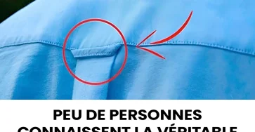 A quoi servent les boucles au dos des chemises 1200x630.jpg