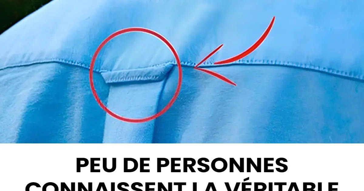 A quoi servent les boucles au dos des chemises 1200x630.jpg