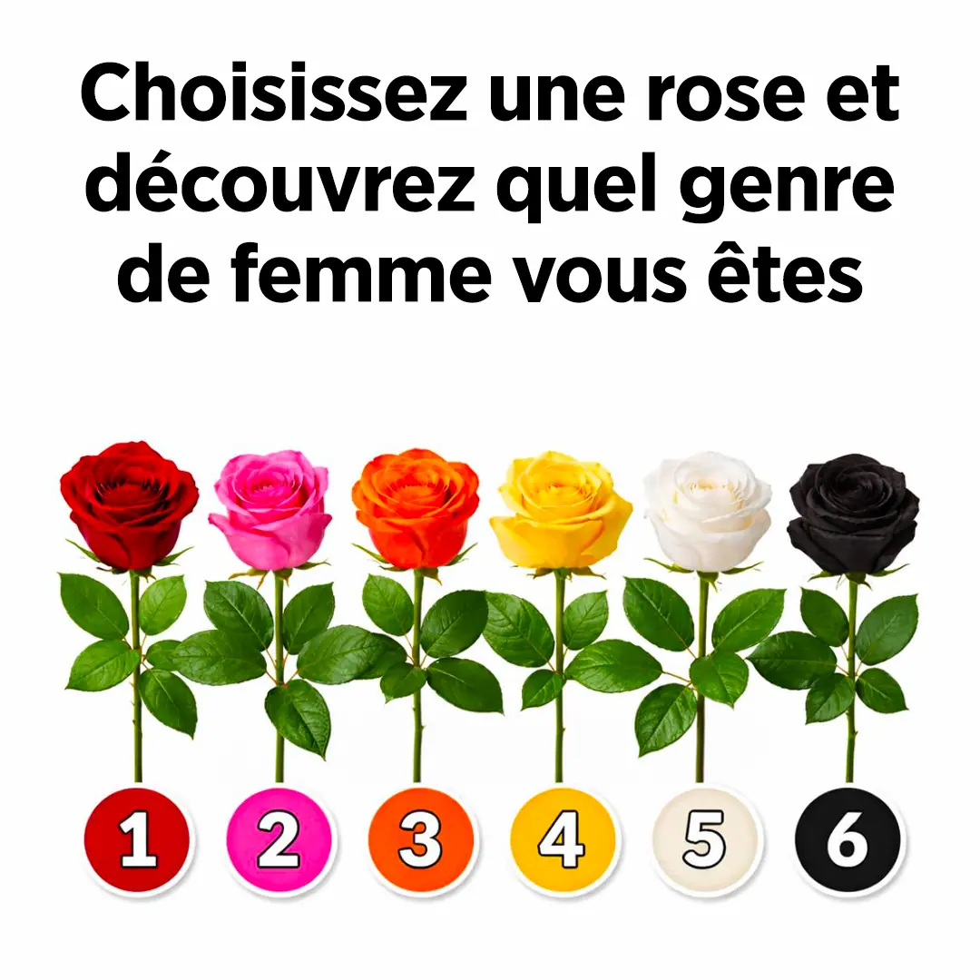 Choisissez une rose et decouvrez ce quelle revele de votre personnalite.jpg