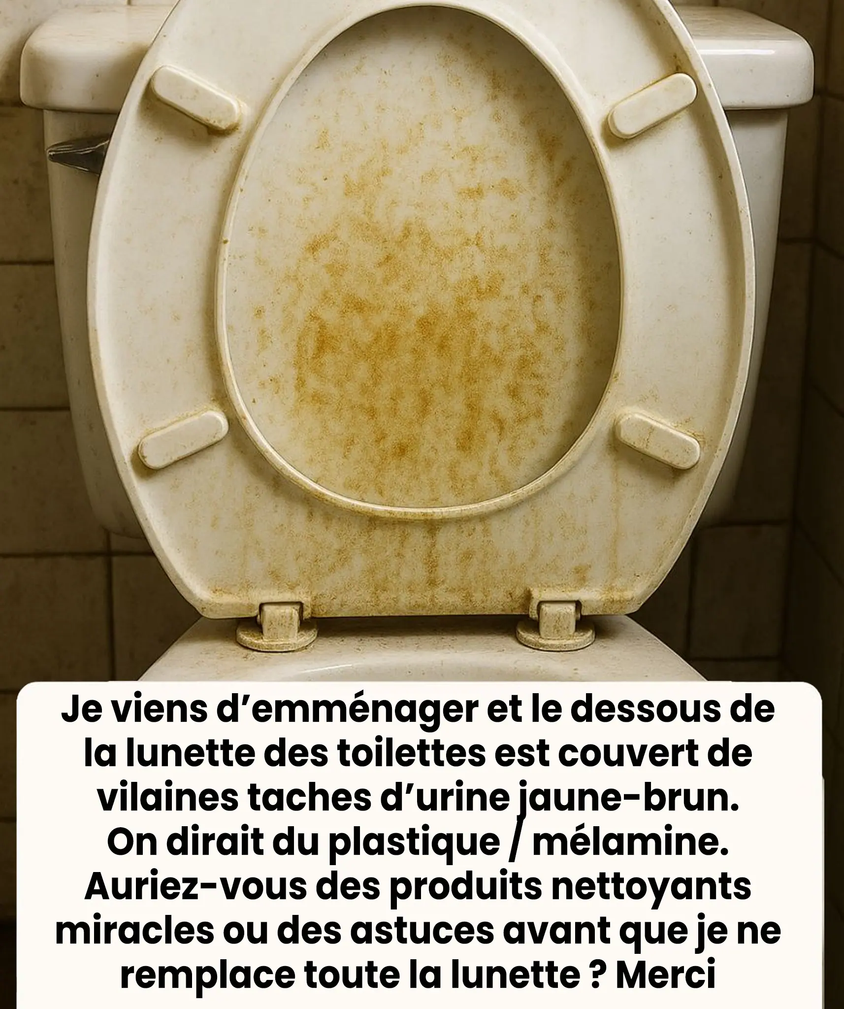 Comment nettoyer la lunette des toilettes.jpg