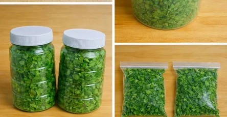 Conserver le persil et le garder frais pendant un an la methode des chefs.jpg