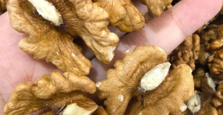 Des medecins revelent que la consommation de noix provoque ce dont personne ne vous a parle.jpg