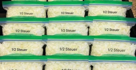 E32d8f17 51db 4b64 a780 025d93551943 683x1024