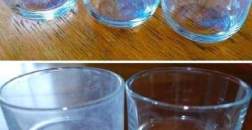 F2bc208b 553c 4265 bac1 6d965c5f365f