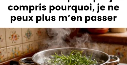 Faire bouillir du romarin le secret de cuisine que jai appris de ma grand mere je ne peux plus men passer.jpeg