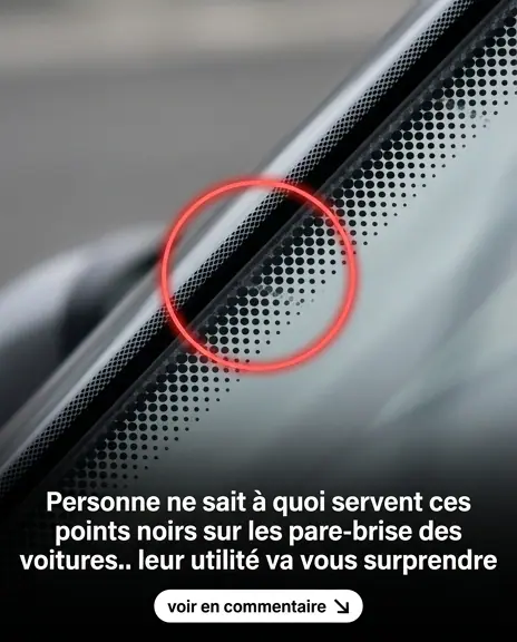 La plupart des gens ignorent a quoi servent ces petits points noirs sur les pare brise des voitures et leur utilite est vraiment surprenante.jpg